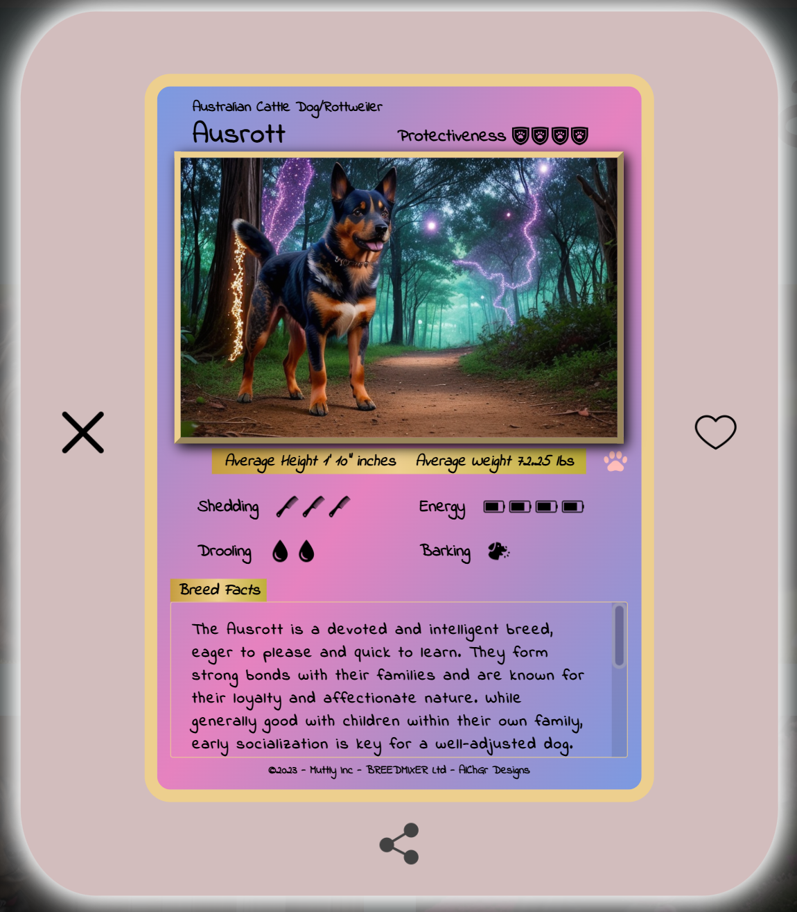 Australian Cattle Dog & Rottweiler