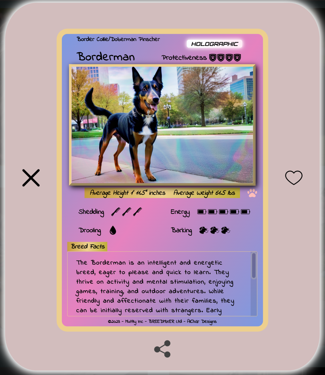 Border Collie & Doberman Pinscher