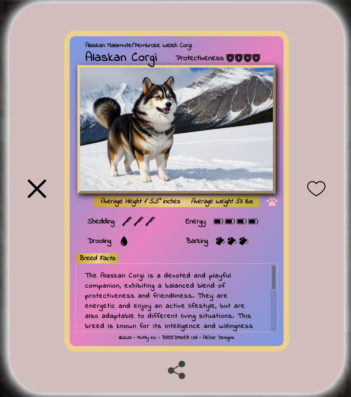 Alaskan Malamute & Pembroke Welsh Corgi